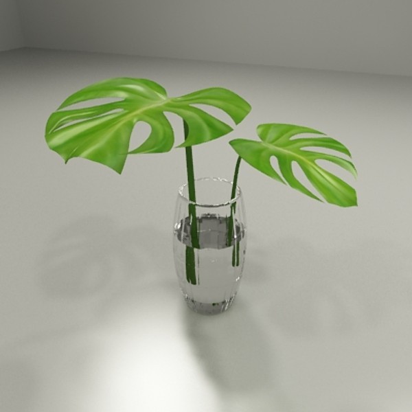 Квіти для прикраси кафе, ресторанів та офісів. Фото рослин, опис та догляд. 10 - Max Home  квіти для офісу