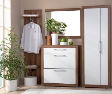 Малогабаритні вітальні в коридор