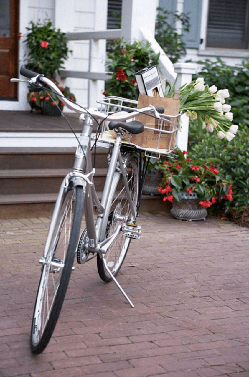 Житло на території Південної Кароліни Кароліни 18